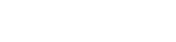 Webfrog IT Services Logo