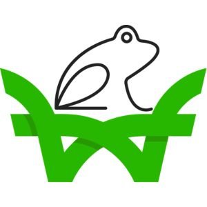 Webfrog IT Services logo